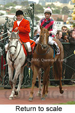 Return to scale (17769 bytes)