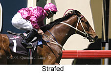 Strafed (13917 bytes)