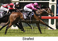 Strafed (17541 bytes)