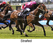 Strafed (19303 bytes)