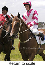 Return to scale (14830 bytes)