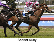 Scarlet Ruby (19554 bytes)