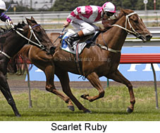 Scarlet Ruby (19781 bytes)