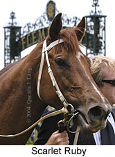 Scarlet Ruby (14858 bytes)