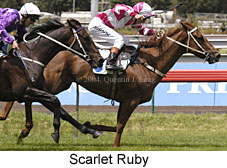 Scarlet Ruby (18449 bytes)