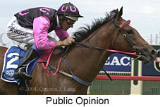 Public Opinion (14123 bytes)