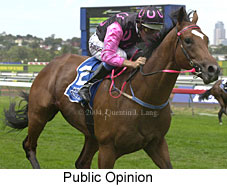 Public Opinion (16755 bytes)