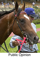 Public Opinion (15887 bytes)