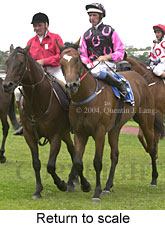 Return to scale (15564 bytes)