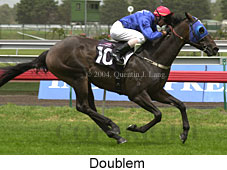 Doublem (15866 bytes)