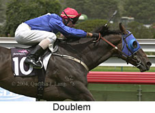 Doublem (13688 bytes)