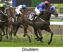 Doublem (16332 bytes)