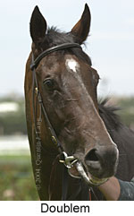 Doublem (9385 bytes)