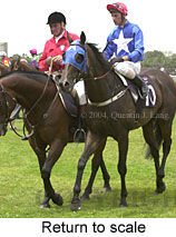 Return to scale (14661 bytes)