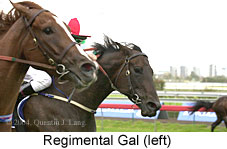 Regimental Gal (12387 bytes)