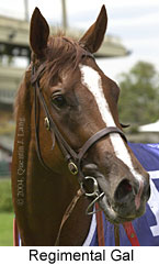 Regimental Gal (12196 bytes)