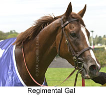 Regimental Gal (13834 bytes)