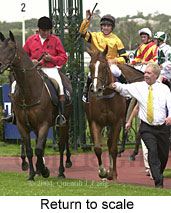 Return to scale (17360 bytes)