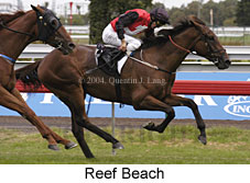 Reef Beach (16672 bytes)