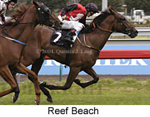 Reef Beach (15244 bytes)