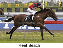 Reef Beach (14769 bytes)