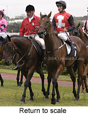 Return to scale (17081 bytes)