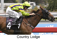 Country Lodge (14202 bytes)