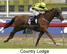 Country Lodge (15626 bytes)