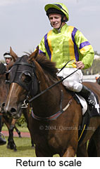 Return to scale (13197 bytes)