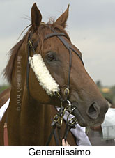 Generalissimo (10730 bytes)