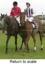 Return to scale (13680 bytes)