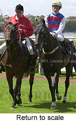 Return to scale (15587 bytes)