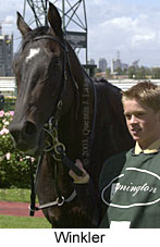 Winkler (11941 bytes)