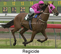 Regicide (13377 bytes)