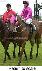 Return to scale (15612 bytes)