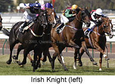 Irish Knight (18403 bytes)