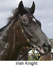 Irish Knight (11296 bytes)