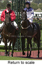 Return to scale (15788 bytes)