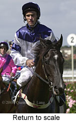 Return to scale (12982 bytes)