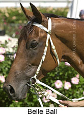Belle Ball (15444 bytes)