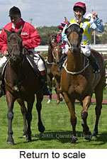 Return to scale (15995 bytes)