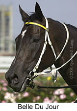 Belle Du Jour (12028 bytes)