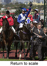 Return to scale (17095 bytes)