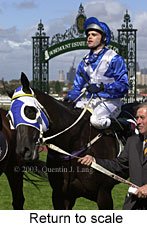 Return to scale (15383 bytes)