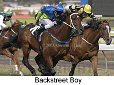 Backstreet Boy (16517 bytes)