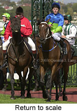 Return to scale (16766 bytes)