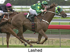 Lashed (15078 bytes)