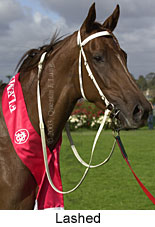 Lashed (16517 bytes)