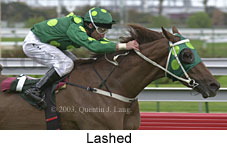 Lashed (16517 bytes)