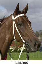 Lashed (16517 bytes)